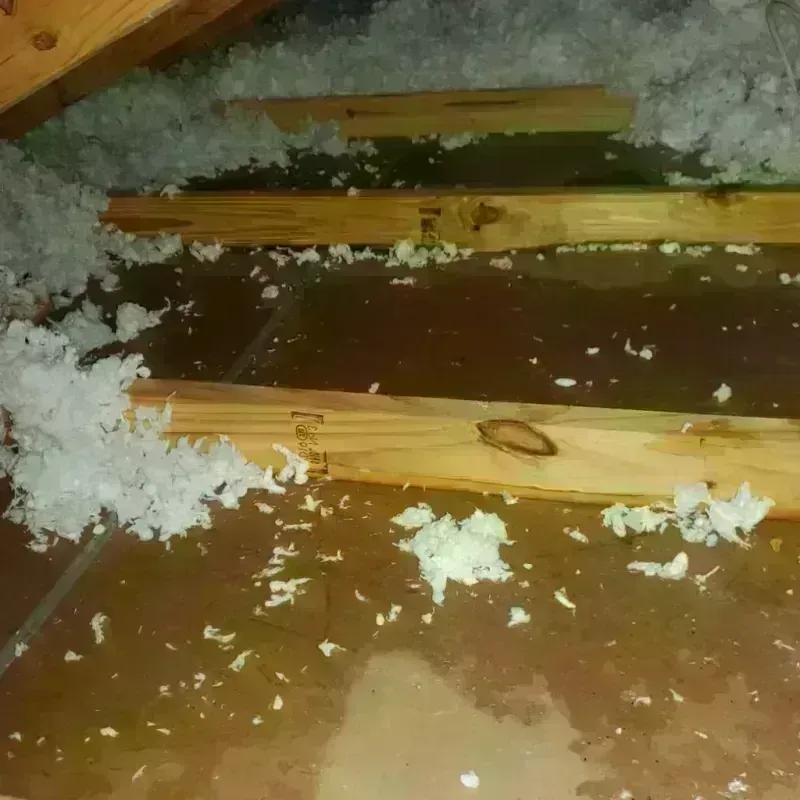 Attic Water Damage in Spencerville, OH