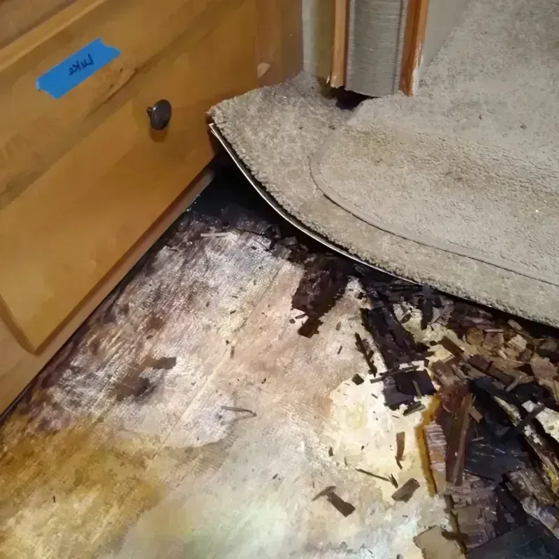 Best Wood Floor Water Damage Service in Spencerville, OH